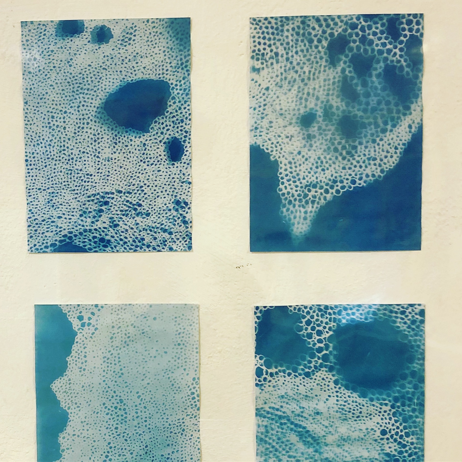 Detail of the cyanotype prints